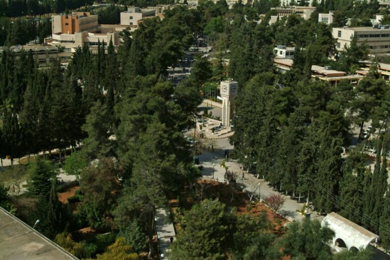 أكثر من 30 ألف بحث منشور للجامعة الأردنية بنسبة 26% من الأبحاث في الأردن